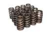 CCA Valve Spring Sets