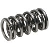 MAN Valve Spring Kits