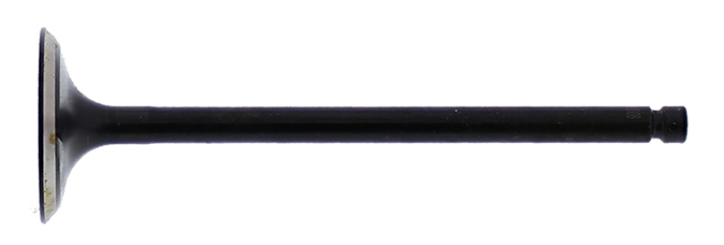 HOC Intake Valve