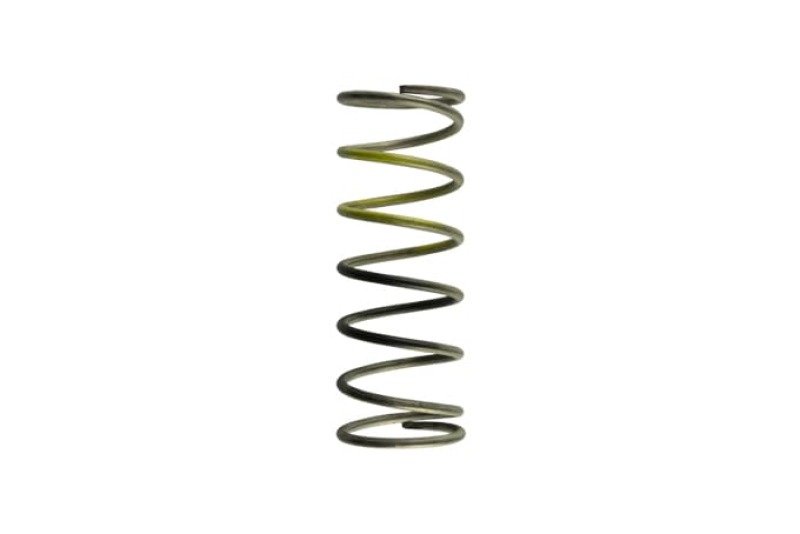TS Wastegate Springs