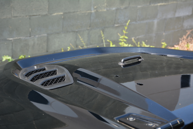 07-18 Jeep Wrangler JK Rubicon 10th Anniversary Replica Hood - Image 19