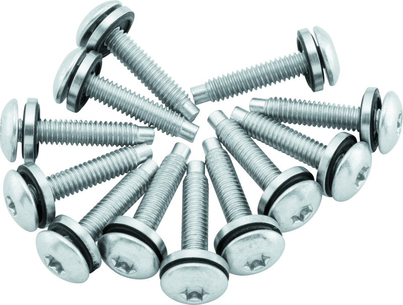 Twin Power 04-17 Dyna Models Fuel Pump Plate Screw Kit Replaces H-D 1331 thumbnail 2