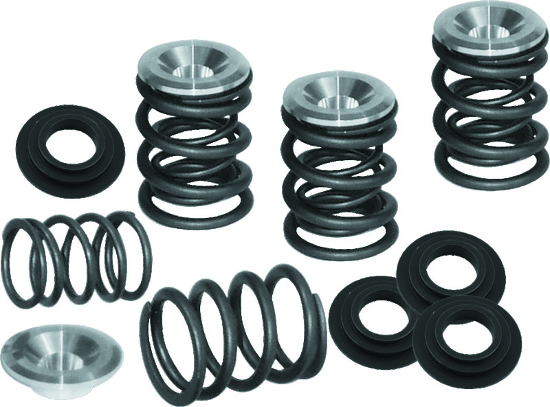 SSC Valve Springs