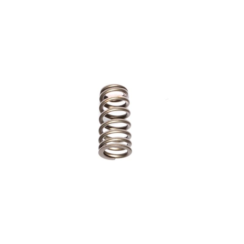 CCA Valve Springs