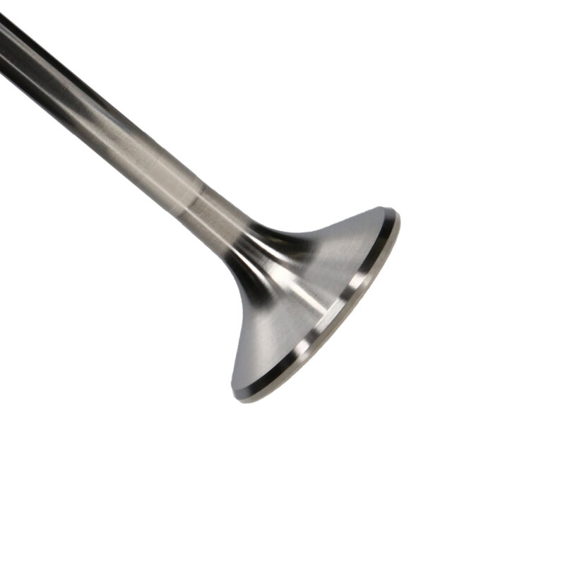 MAN Exhaust Valve Kits