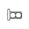 CG Head Gaskets