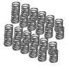 SPT Single Valve Springs