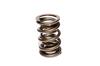 CCA Valve Springs