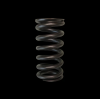 BC Valve Springs