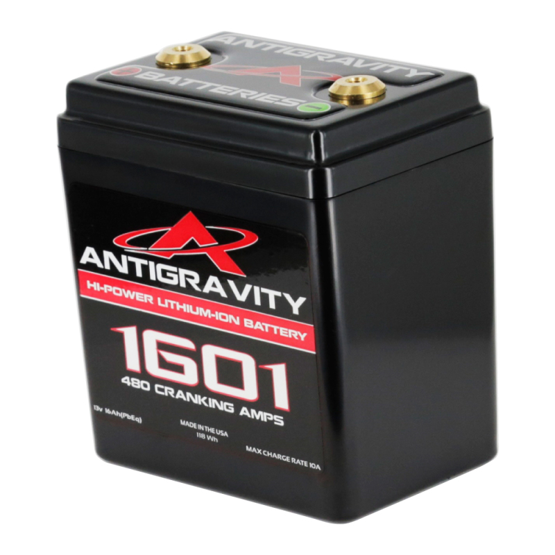 ANT Small Case Battery - Lithium