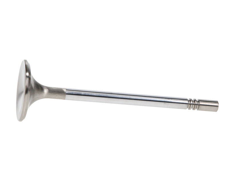 Manley Ford Racing Cylinder Head 4.6L & 5.4L SOHC 36.0mm Race Master Exhaust Valve (Single) thumbnail 6