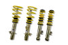 STS Coilover