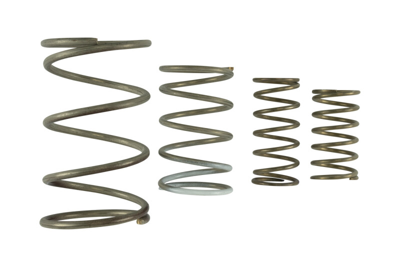 TS Wastegate Springs