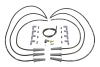 EDE Spark Plug Wires
