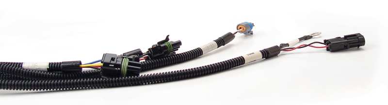 FAST Wiring Harness FAST Main thumbnail 4