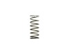 TS Wastegate Springs