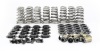 CCA Valve Spring Sets