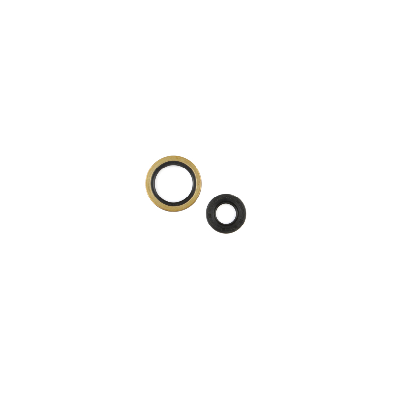 CG Oil Seal Kit