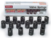 EDE Valve Springs