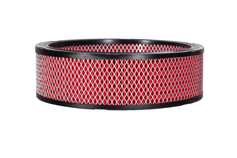 K&N Replacement Air Filter Triumph Scrambler 400 X 2024