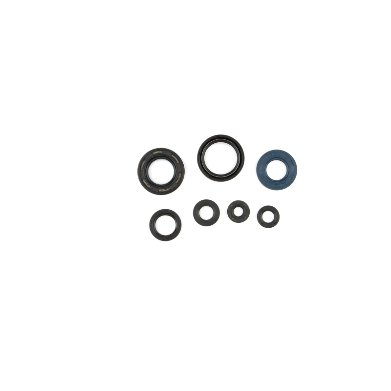 CG Oil Seal Kit