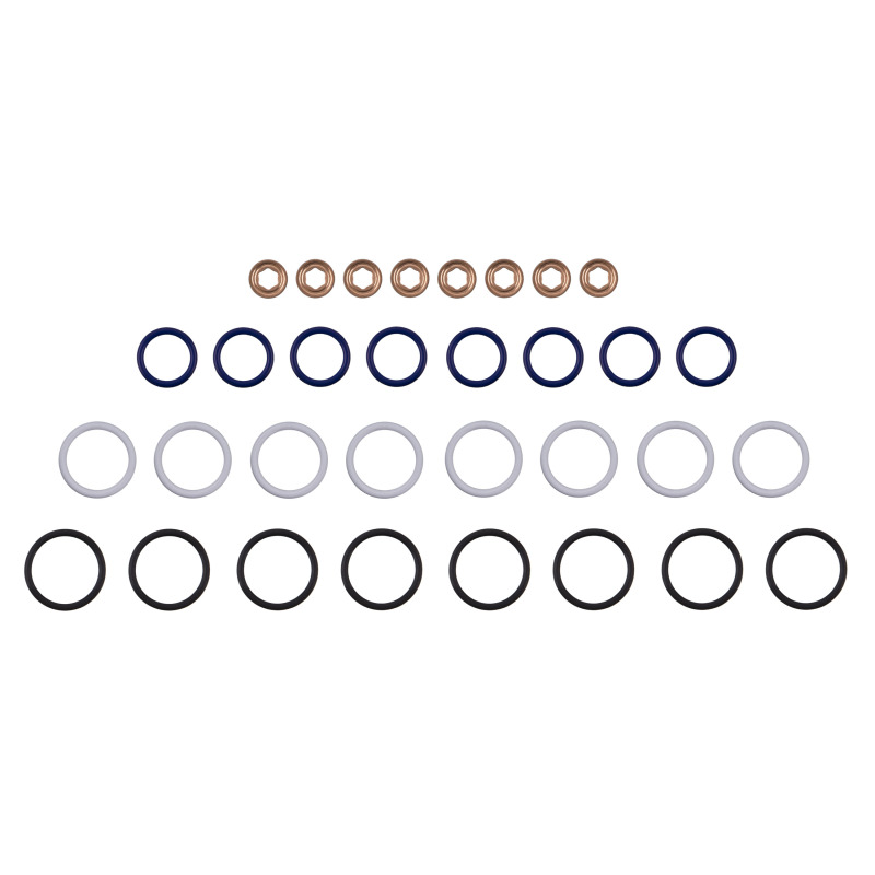 FEL Fuel Injector O-Rings