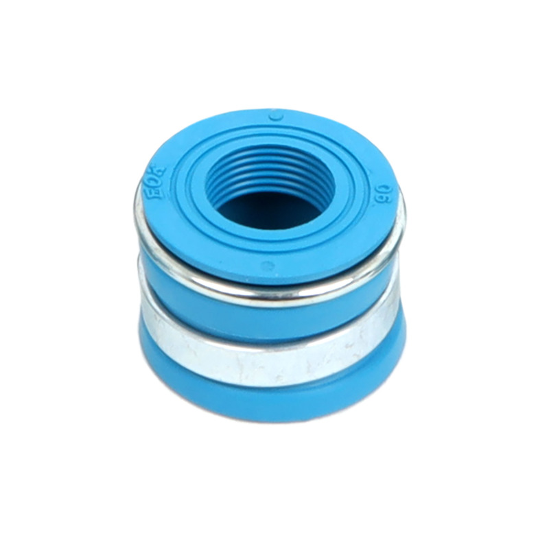 CG Valve Stem Seals