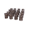 CCA Valve Spring Sets
