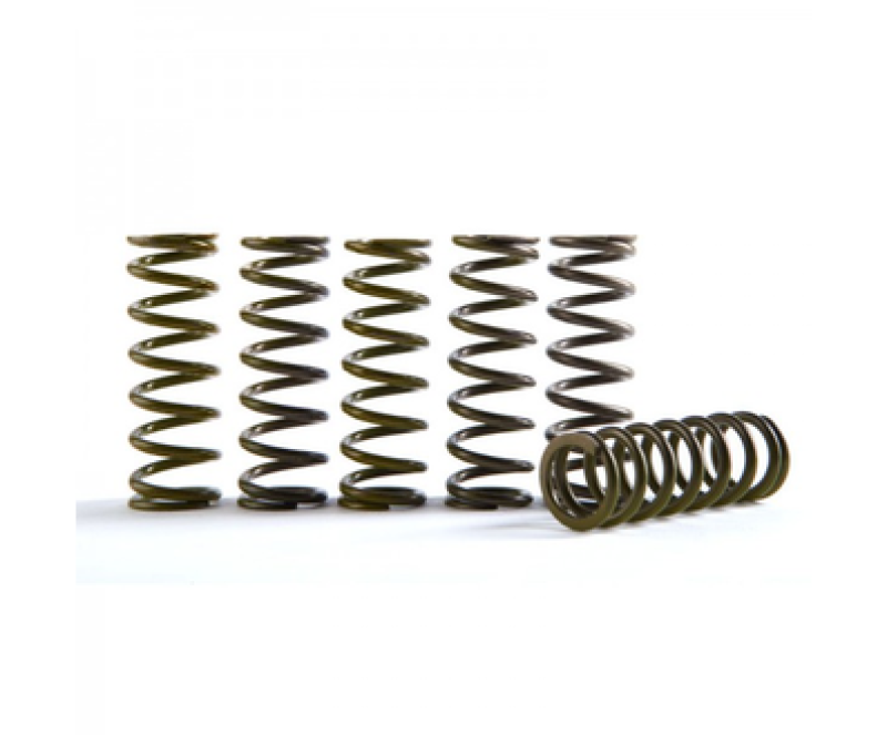 HIN Hi-Temp Clutch Spring Kit