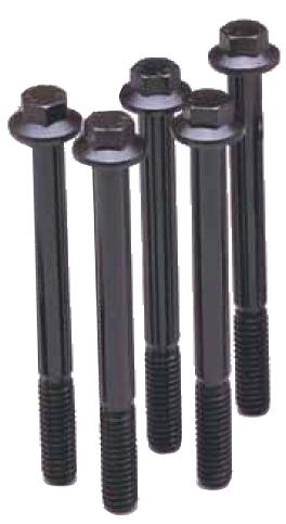 ARP Stainless Steel Bolts