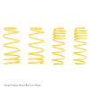 STS Muscle Car Springs
