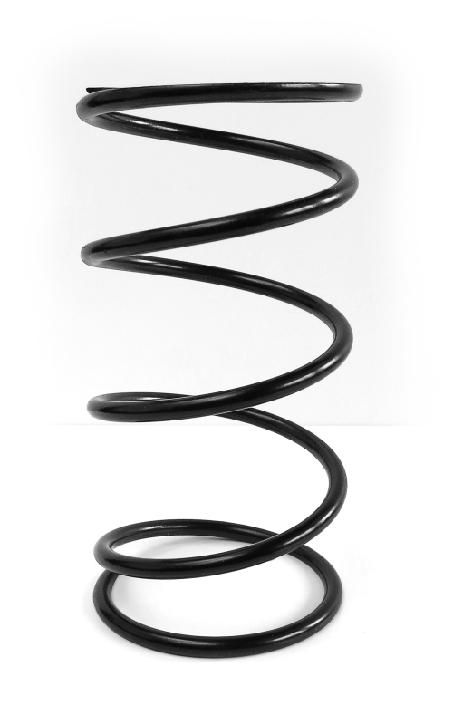EPI Clutch Springs