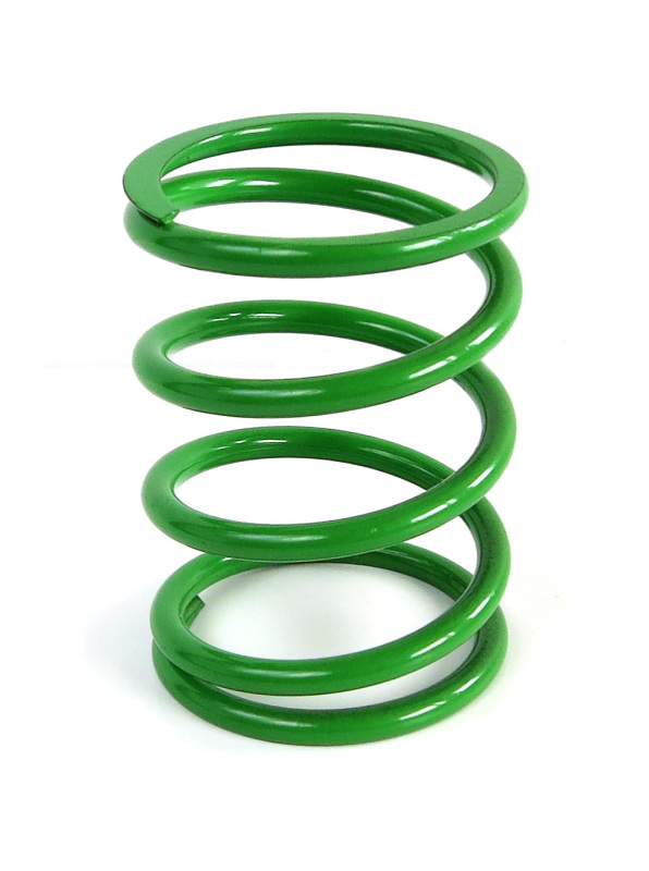 EPI Clutch Springs