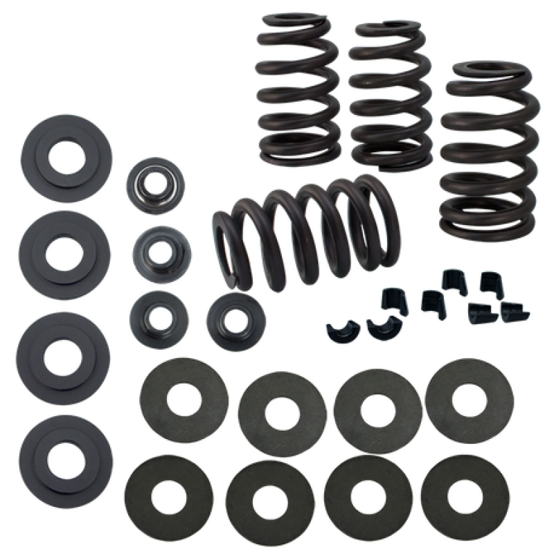 SSC Valve Springs