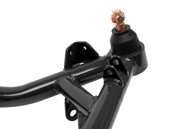 UMI Performance 70-81 GM F-Body Lower A- Arms Race Version thumbnail 7