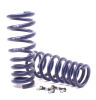 HR Sport Springs