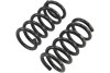 BT Coil Spring Set