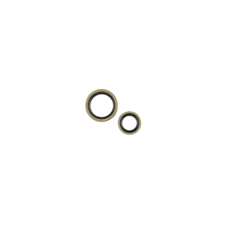 CG Oil Seal Kit