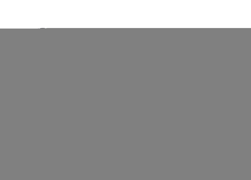 WL Bushings - Trailing Arm