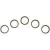 CG Oil Seal Kit