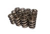 CCA Valve Spring Sets