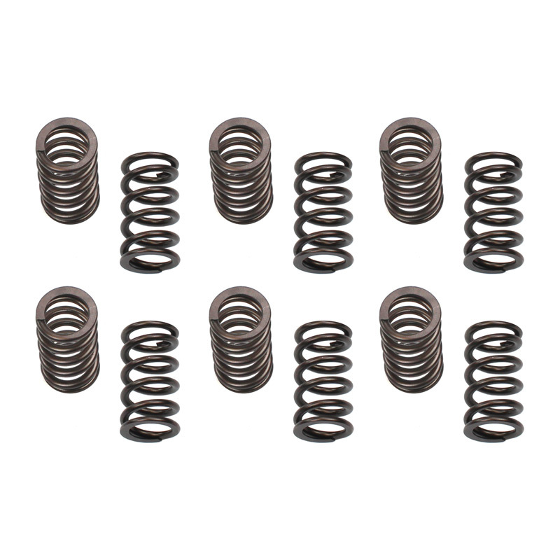 IND PDM Valve Springs