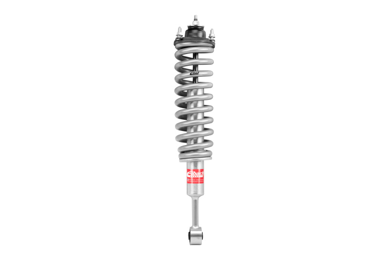 EIB Pro-Truck Shocks
