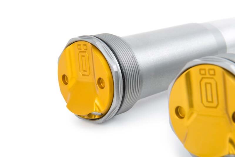 Ohlins Kaw KX250F/Suz RM-Z250/Tri TF250-X/YamYZ250F/450F/Stark VARG TTX 22 Cartridge Kit