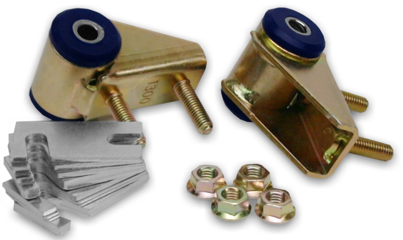 SPR Bushings - Control Arm