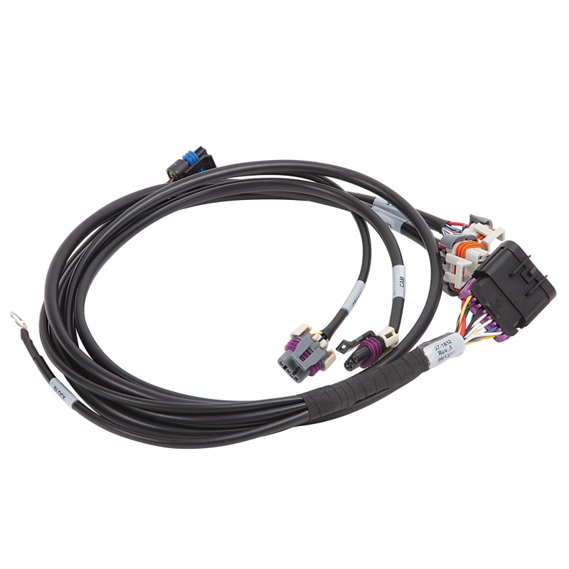 EDE Wiring Harness