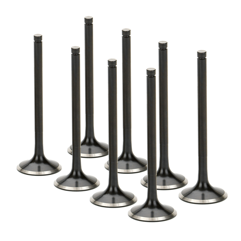 SPT Exhaust Valves