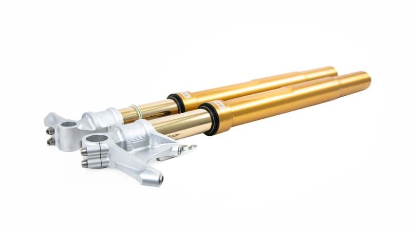 Ohlins 12-14 Ducati 1199 Panigale FGRT 200 Fork