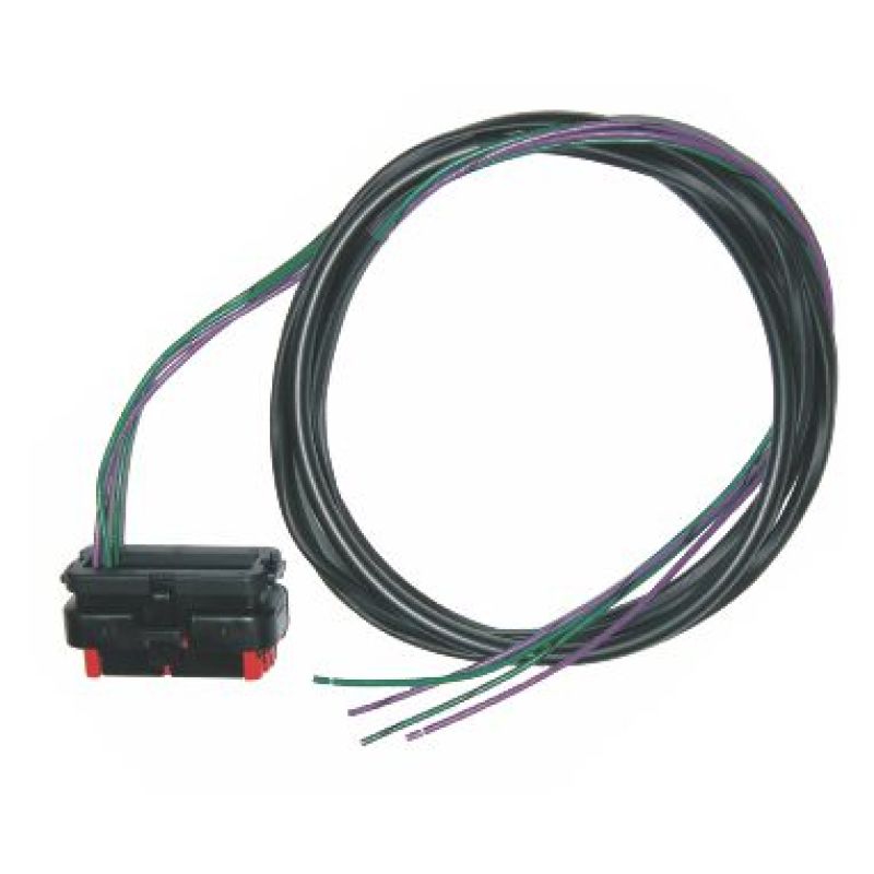 NAM Audio Wiring