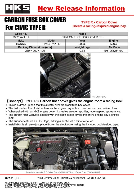 HKS DRY CARBON FUSE BOX COVER FL5